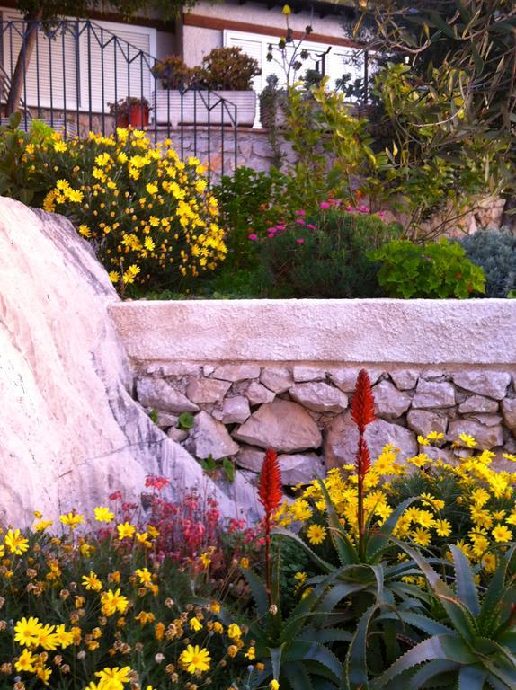 Villa "Ai Galli" Terracina Dış mekan fotoğraf